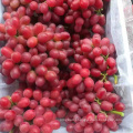 Top Quality Crimson Seedless fresh Grapes